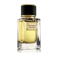 Dolce & Gabbana Velvet Patchouli